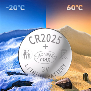 CR2025 Battery